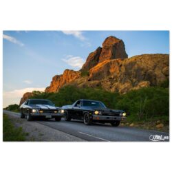 Plakat med Elco og Satellite på Leka #2