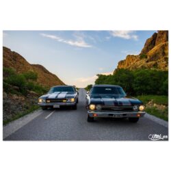 Plakat med Elco og Satellite på Leka #1